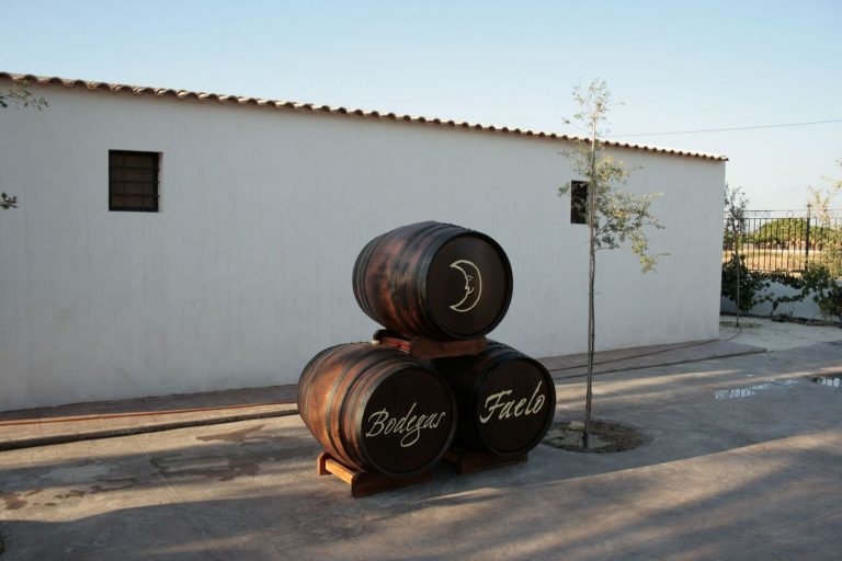 Wine Tours in Alicante