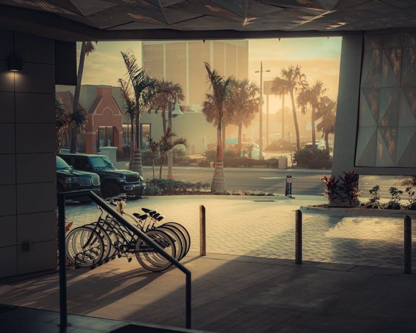 Dramatic sunset cityscape featuring palm trees, bicycles, and urban elements.