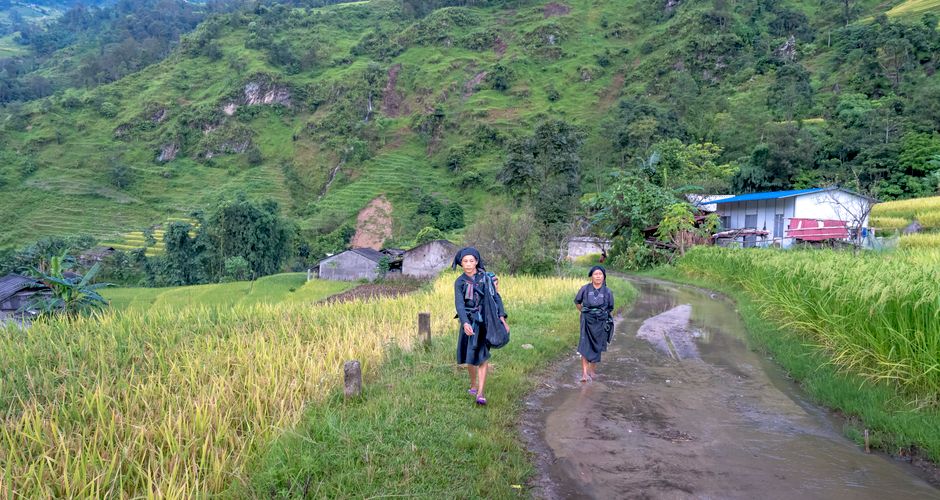 Two women traverse muddy paths in vibrant Asian rice fields, surrounded by green hills.