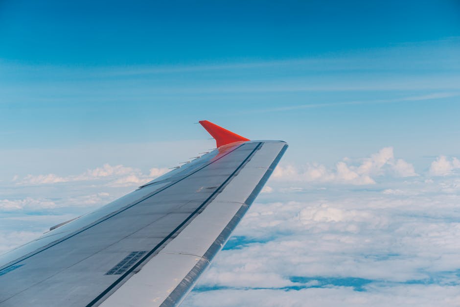 Data-Driven Strategies for Booking Cheap International and Domestic Flights in 2024