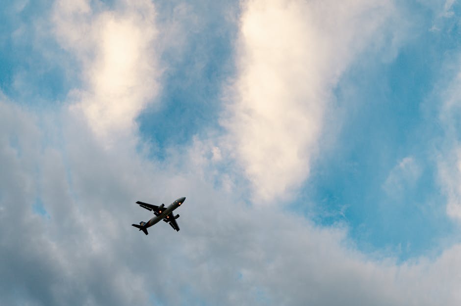 From below of modern airplane flying in cloudy blue sky on sunny day