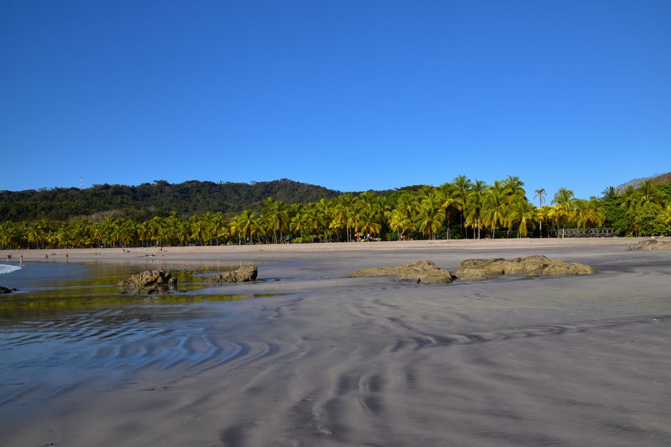 Serene tropical beach with palm trees and clear blue sky, perfect for a summer vacation.