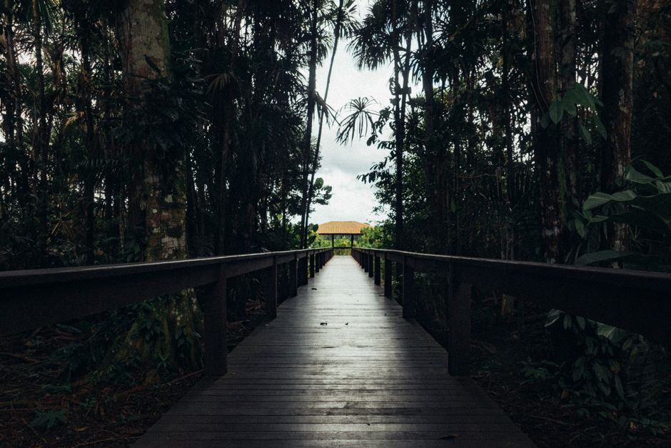 Costa Rica Travel Itinerary: 10 Days Without a Rental Car