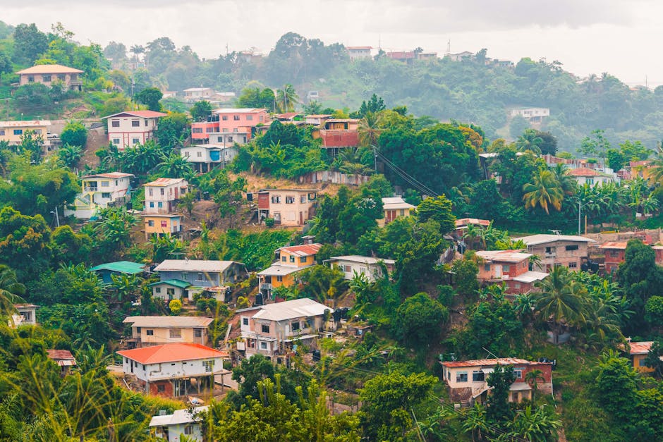 A vibrant hillside neighborhood in Port of Spain, Trinidad and Tobago, surrounded by lush greenery.