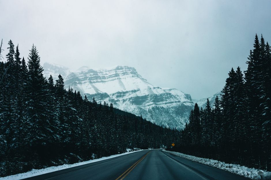 National Parks Road Trip With Kids: Worth the Chaos?