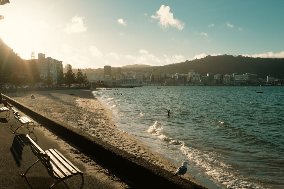 Scenic view of Wellington's beachfront at sunset, capturing the skyline and tranquil sea.