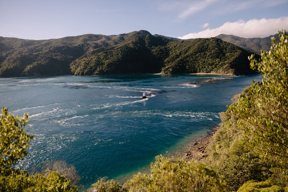 Breathtaking view of the Marlborough Sounds waters and lush hills in New Zealand.