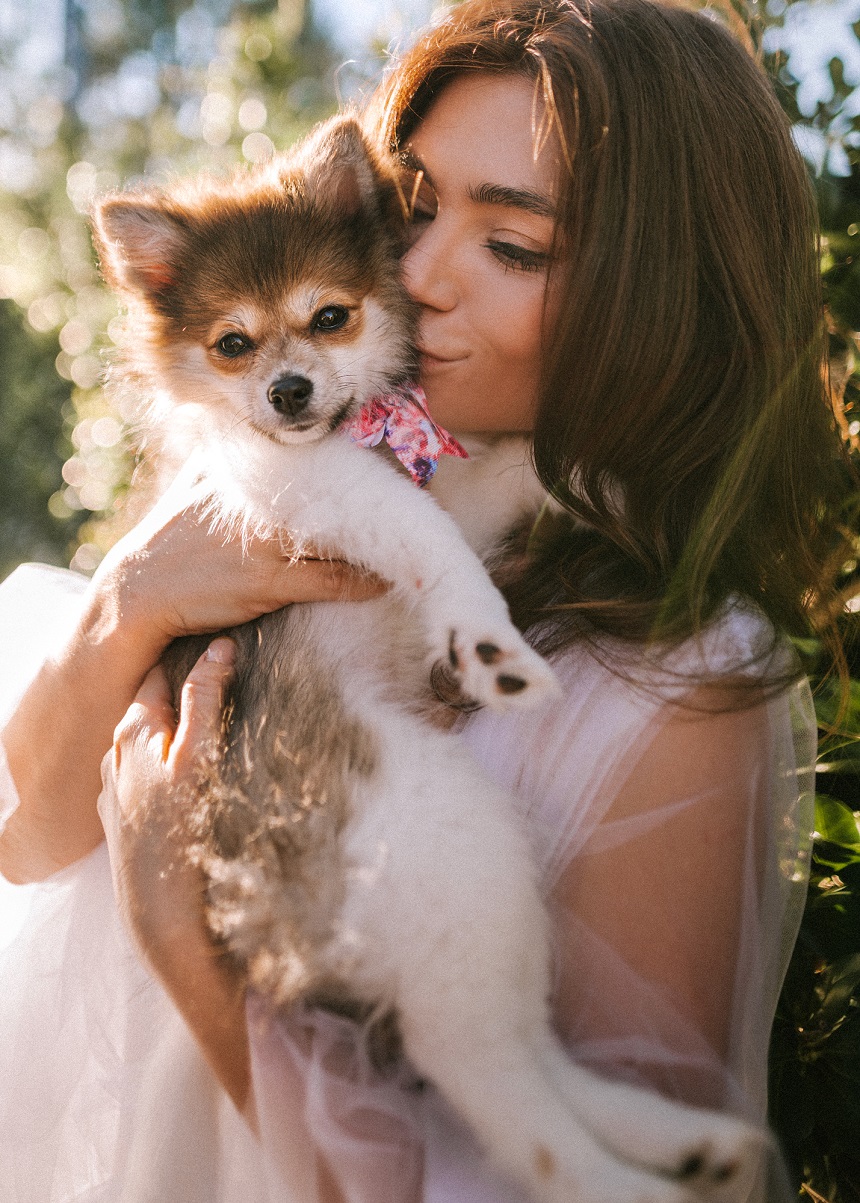 9 Essential Puppy Items To Buy For The First Week with A New Dog