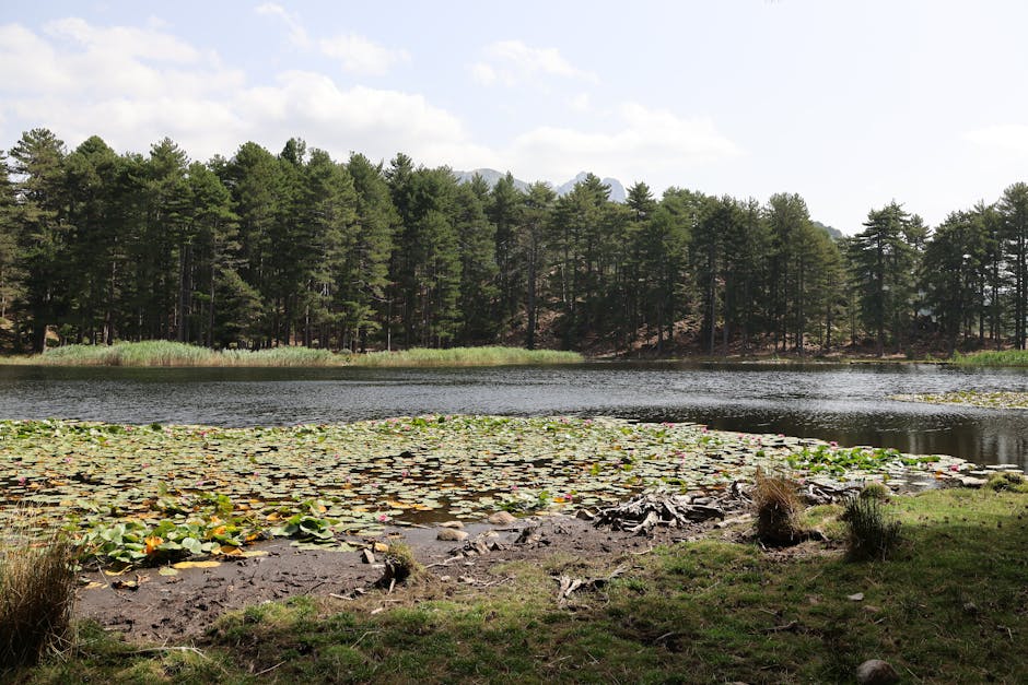 Inflatable vs. Hardshell Kayaks: What Beginners Actually Need