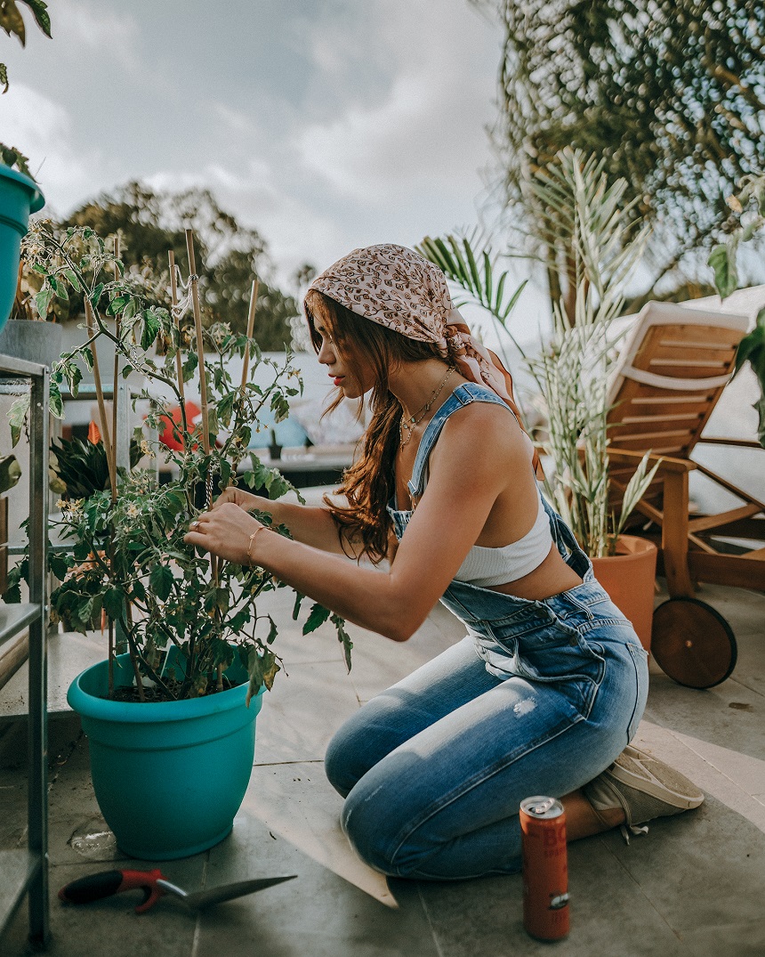 How to Start a Garden: 5 Must-Know Tips and Tricks for Beginner Gardeners
