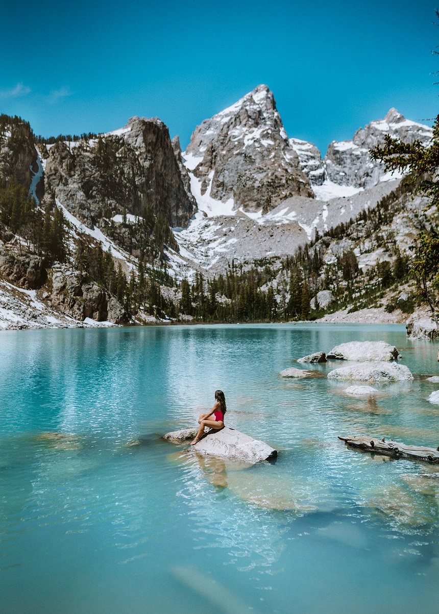 The Best Outdoor Vacations for Nature Lovers and Wildlife Adventurers